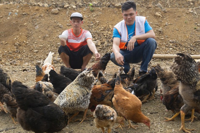 Thực hiện Chương trình mục tiêu quốc gia 13win app nông thôn mới và Chương trình giảm nghèo bền vững giúp bộ mặt nông thôn Thanh Hóa khởi sắc - Ảnh 2.